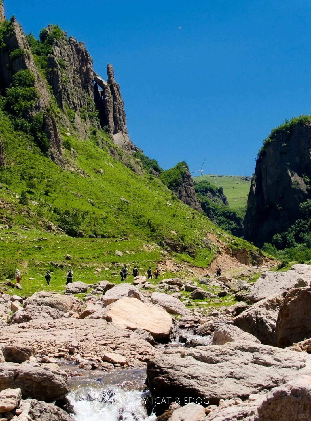 “读错过的举个手，这里是河北蔚（yù）县”