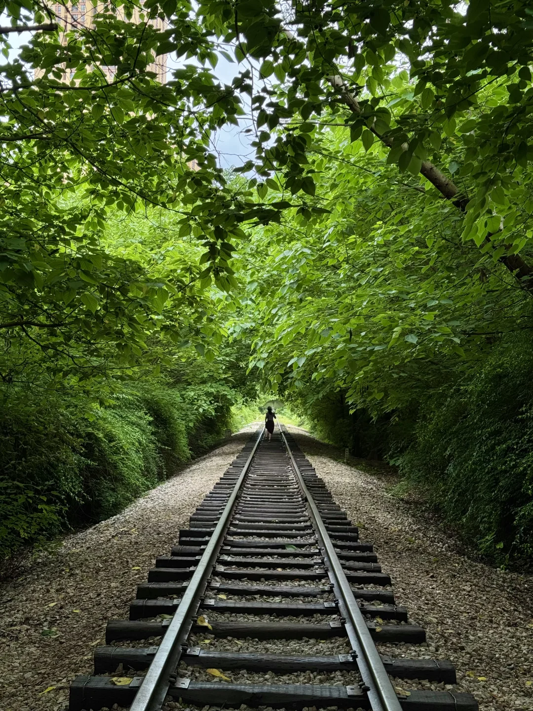 昆明。。。果然最牛逼的地方都是免费的！（合集）