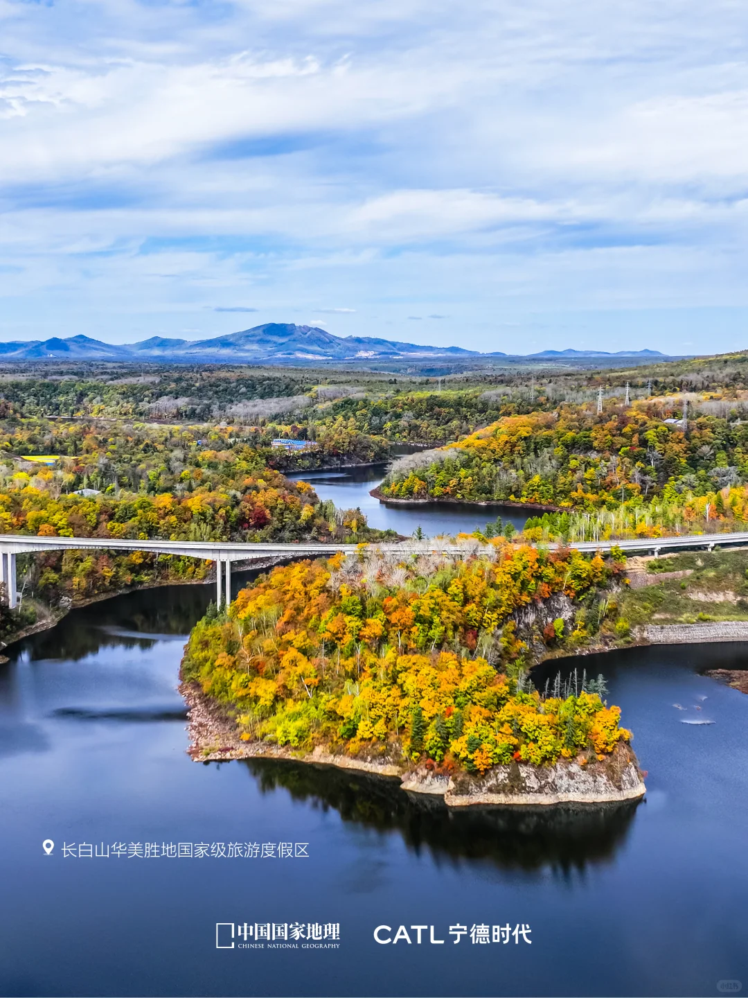 🌍“零碳出行”的N种打开方式✨