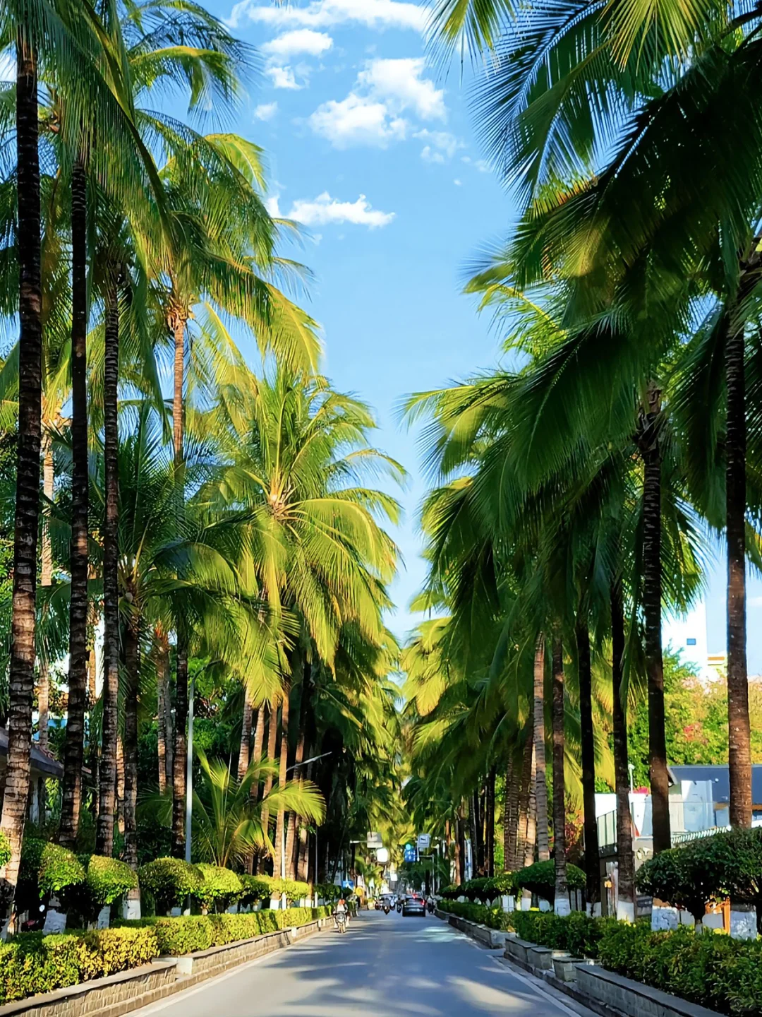 云南纯玩小团🌟吃住全含✅让旅行更省心❗