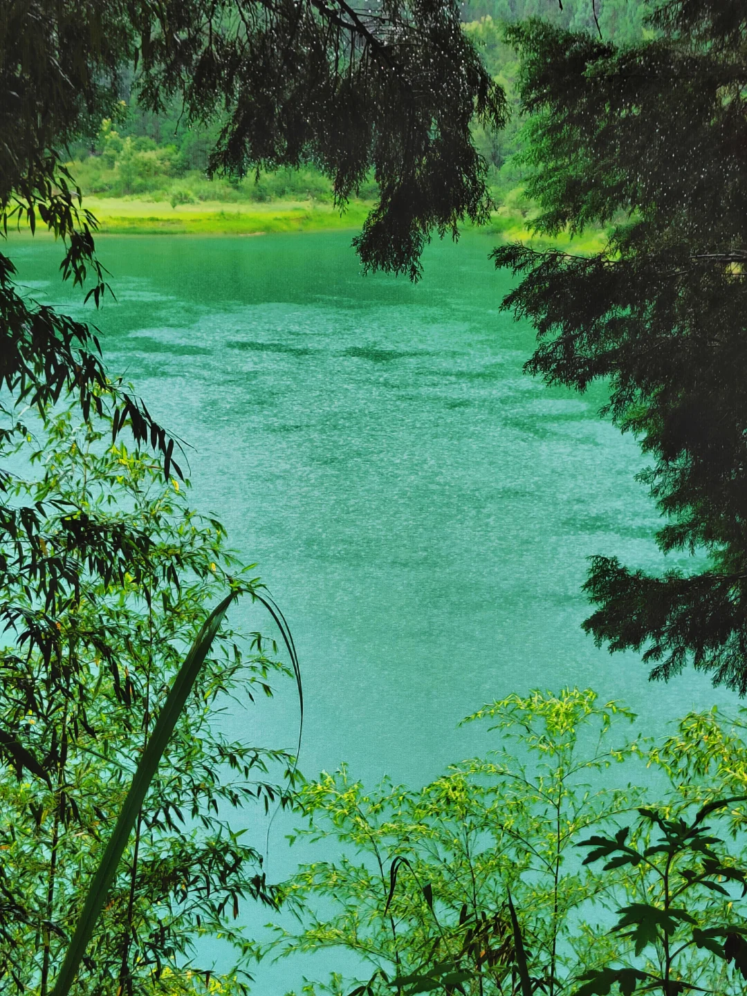 六盘水最惊喜的免费景点