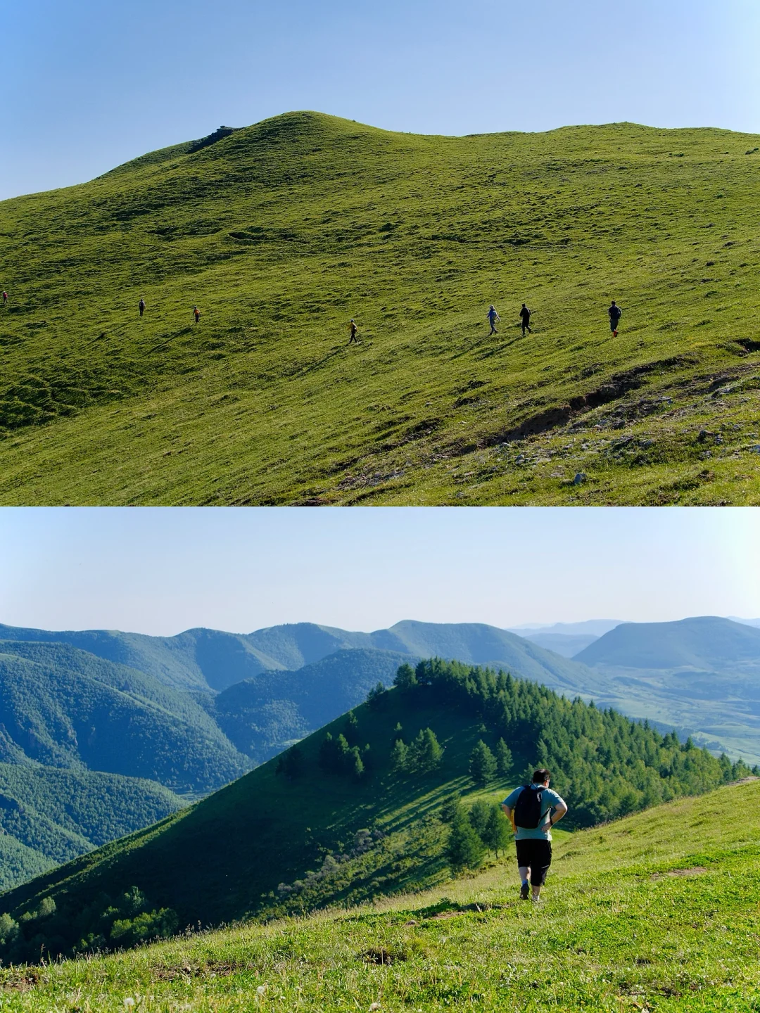 “读错过的举个手，这里是河北蔚（yù）县”