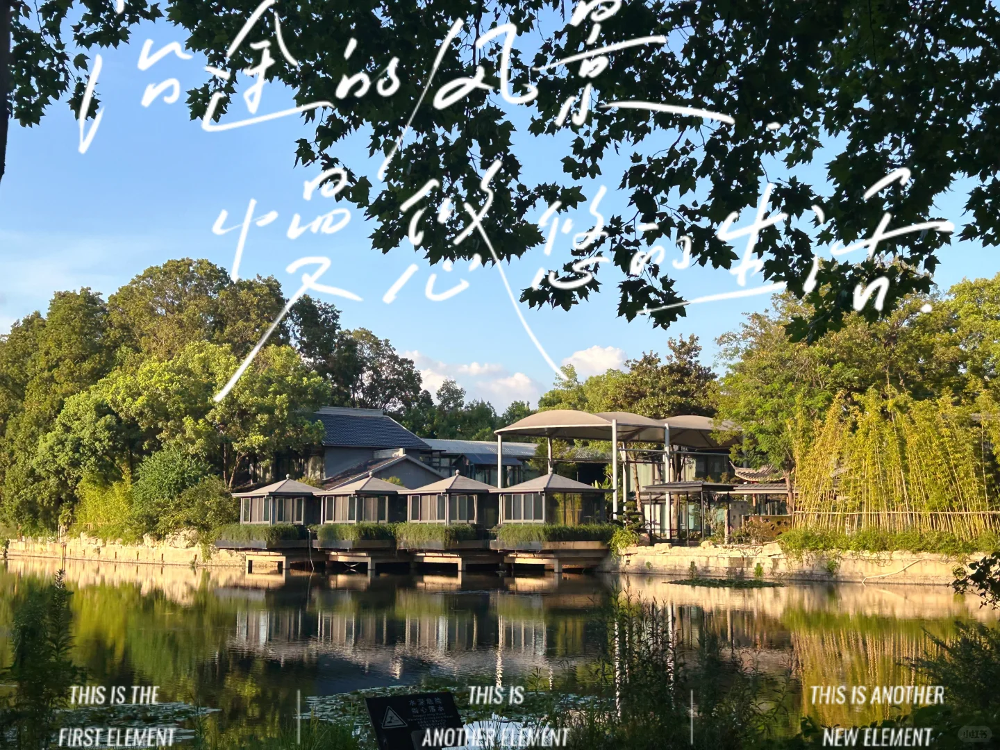 🌿闯入东湖听涛｜慢行日记