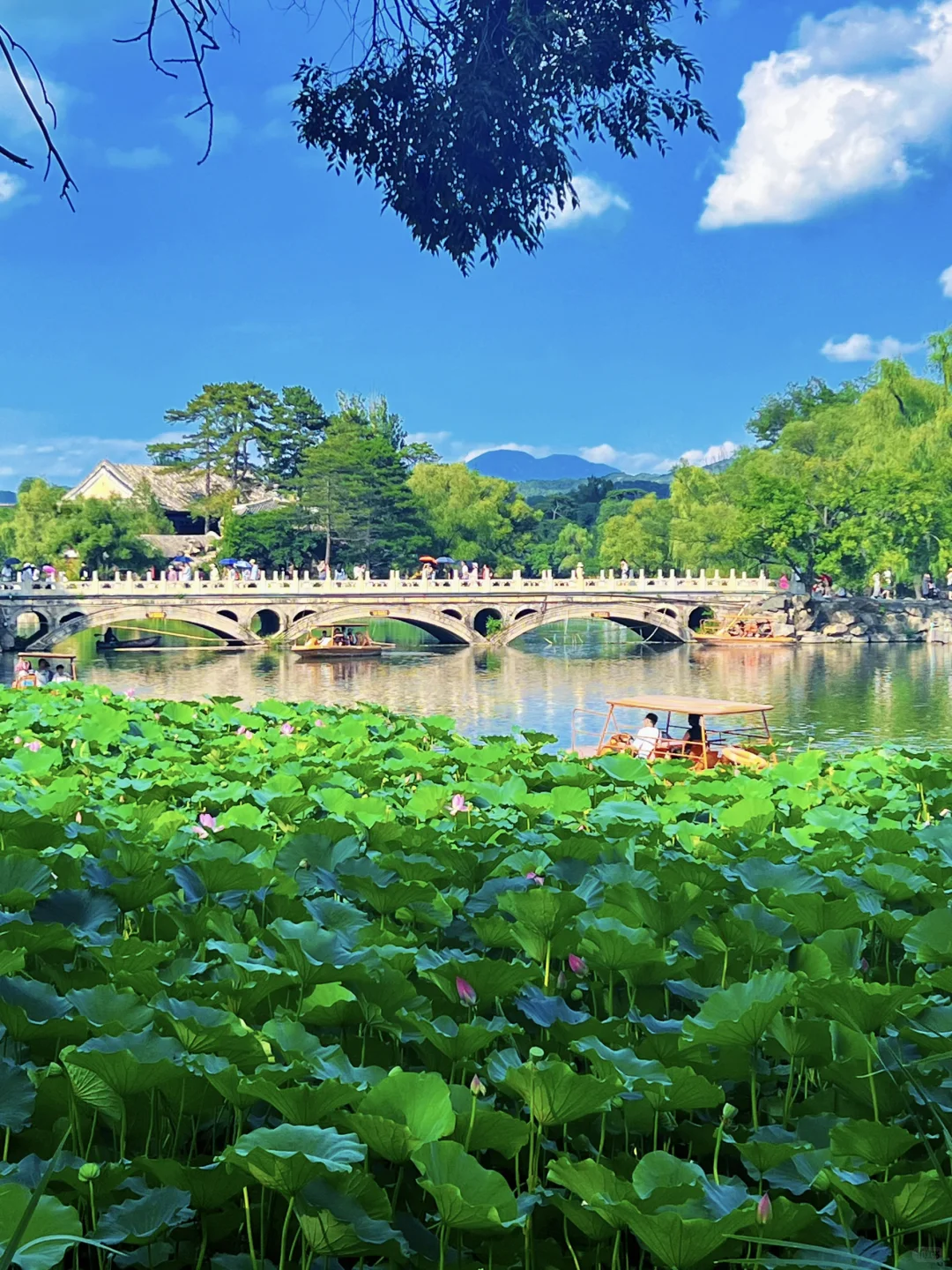 第一次去避暑山庄？门票路线一篇搞定