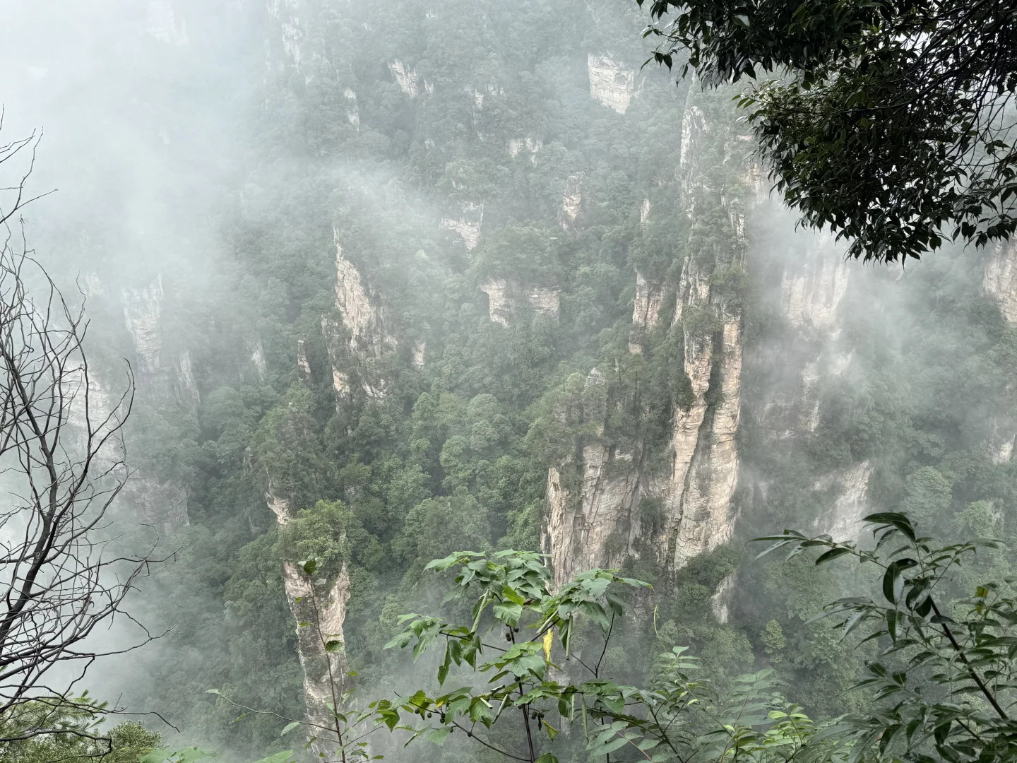 张家界 一个还会再来的地方⛰️⛰️