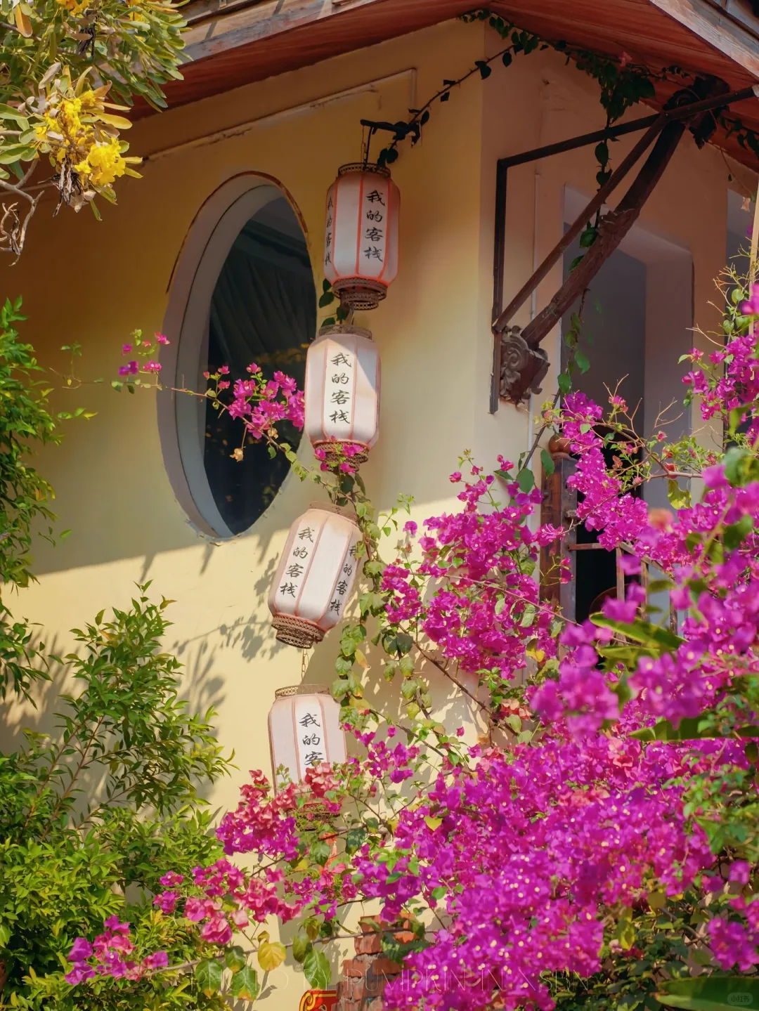 云南纯玩小团🌟吃住全含✅让旅行更省心❗