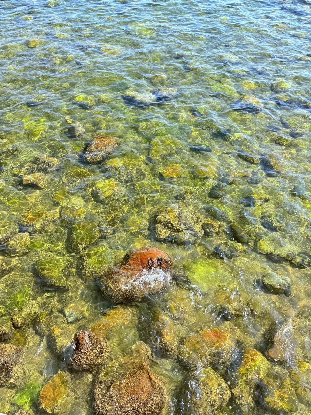 7.6实拍！天津这海很干净‼️免费人少还出片📷