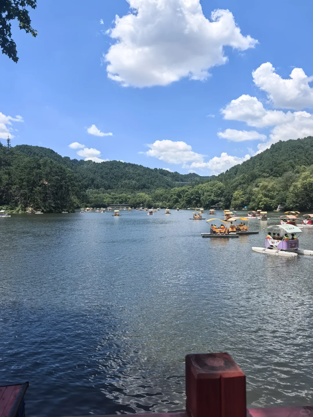 避雷贵州热门景区！