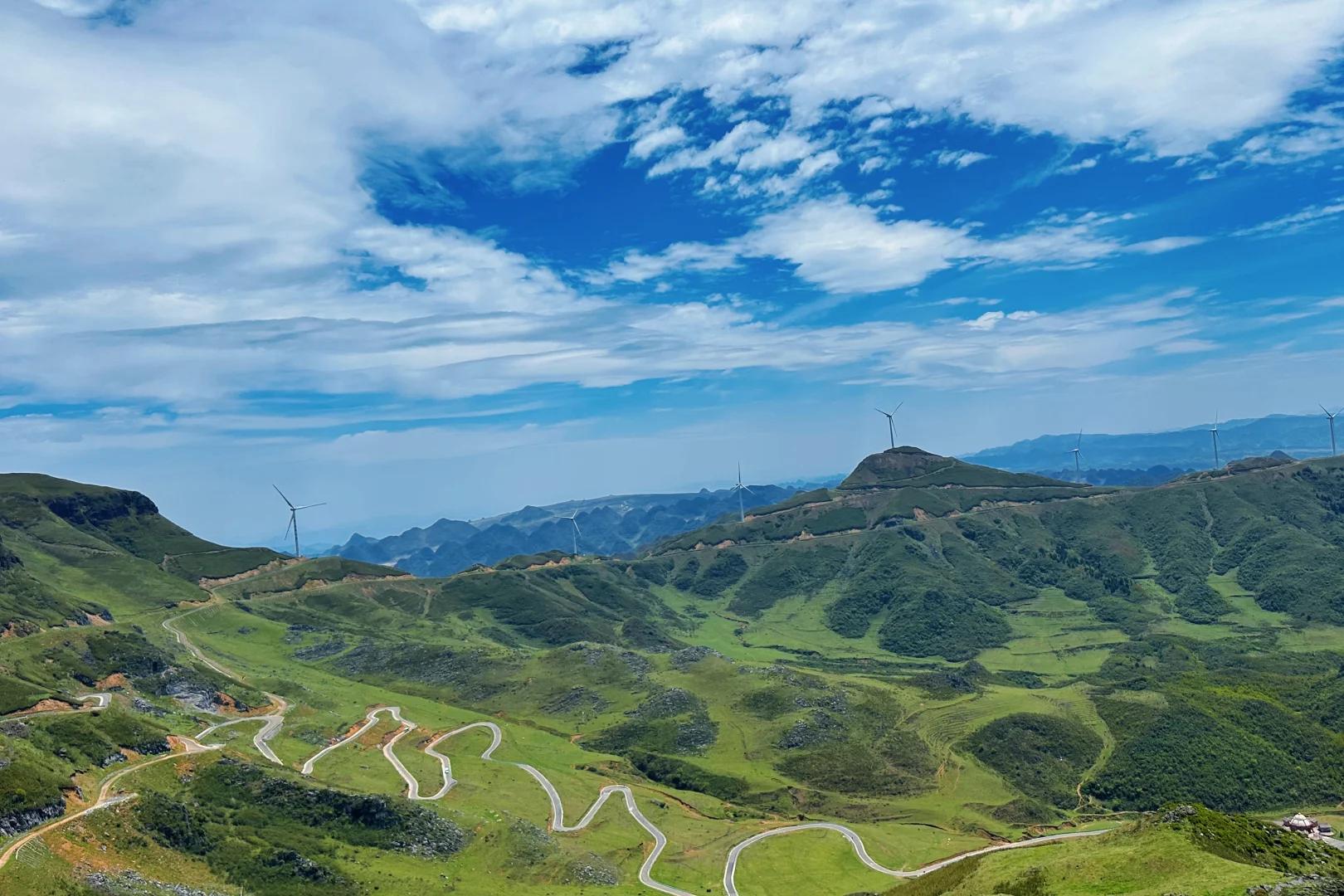 甘为牛马者｜藏着天地心【阿西里西】