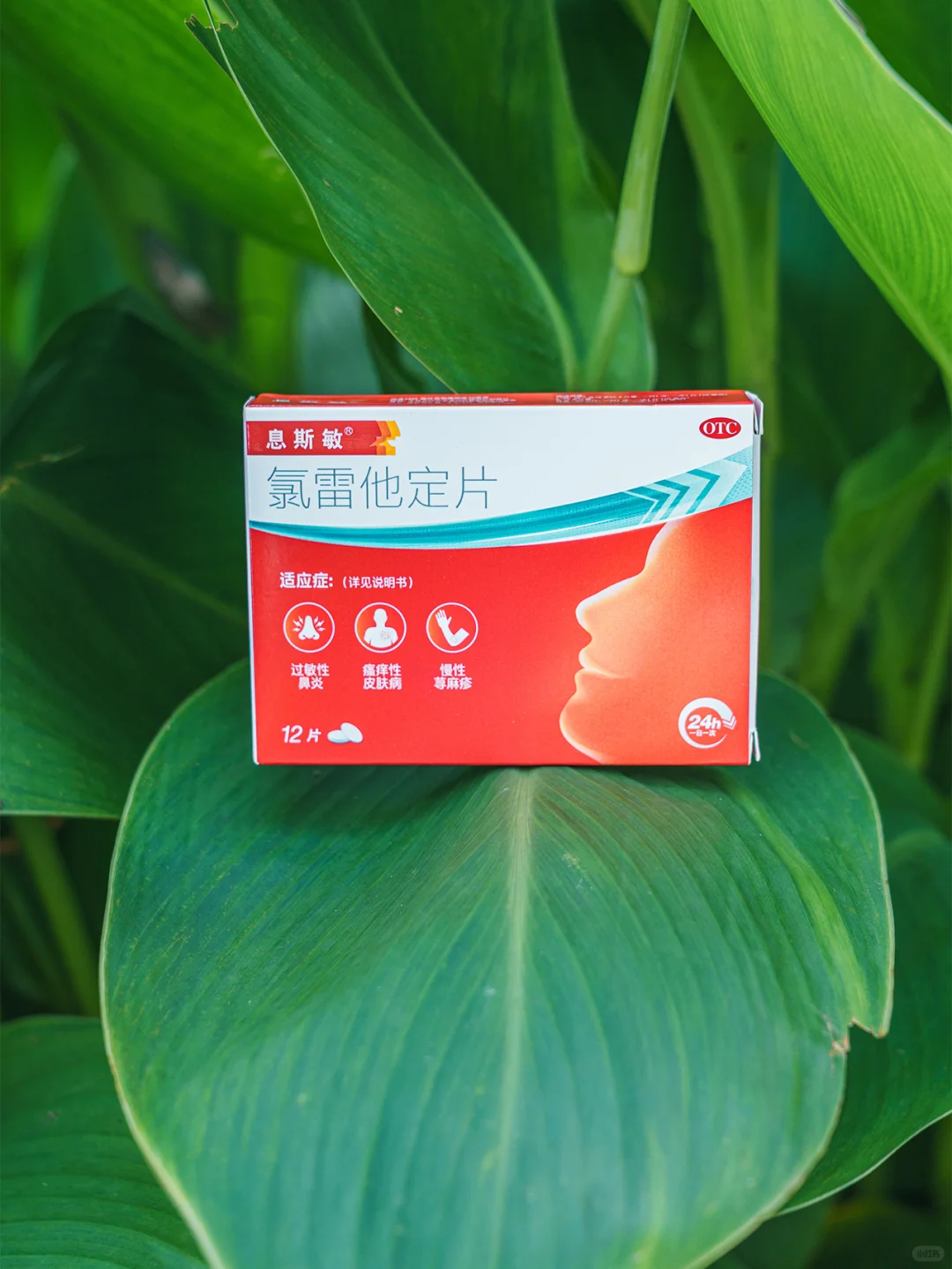 比起武汉，我更爱这座避暑清凉的山水小城⛰️