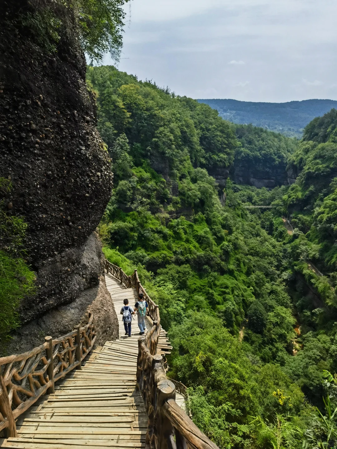 一次讲清楚！怎么免票玩剑门关+翠云廊！