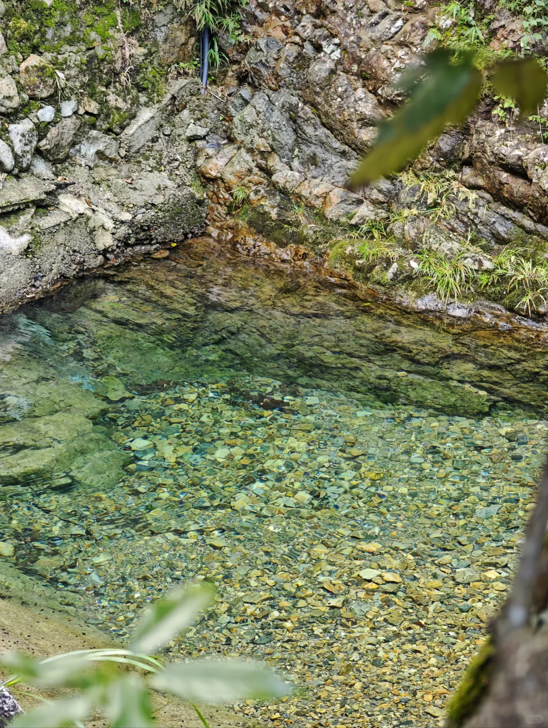 🚗四刷皖南｜醉山野+厉溪+白鹇谷+呈坎