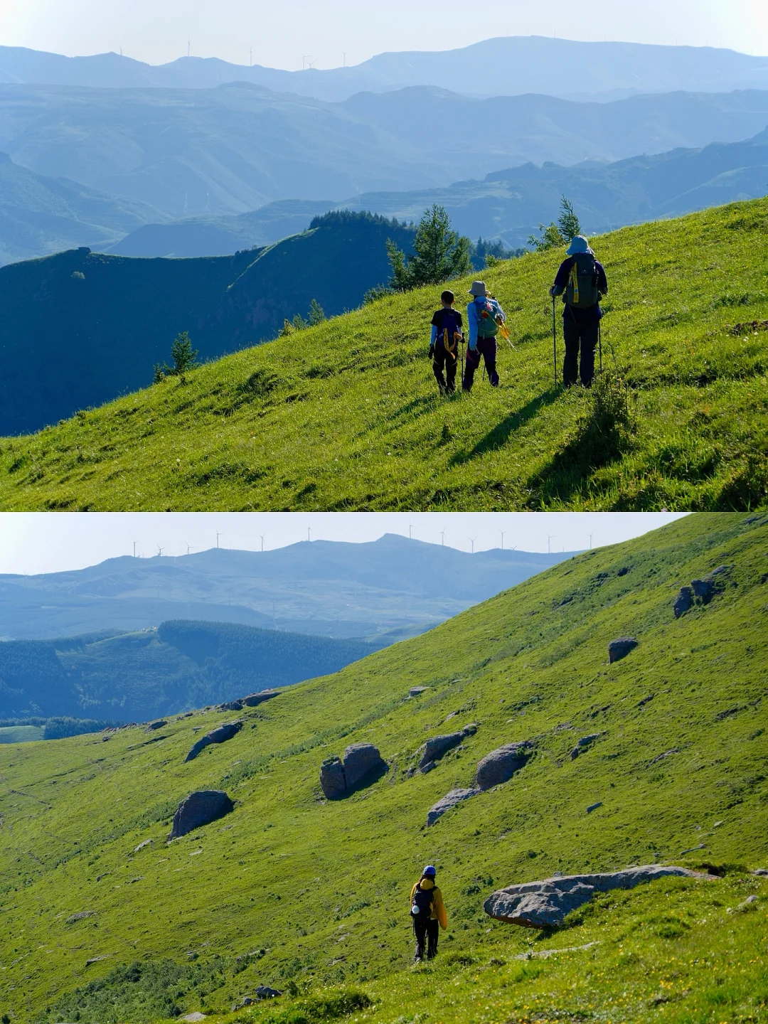 “读错过的举个手，这里是河北蔚（yù）县”