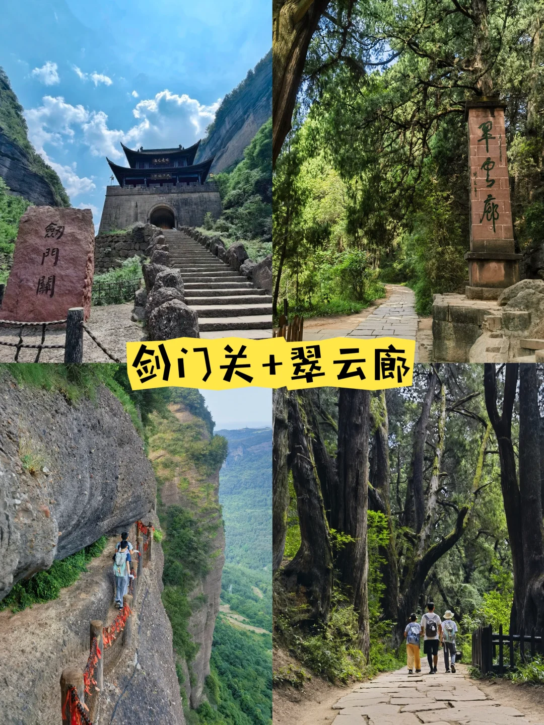 一次讲清楚！怎么免票玩剑门关+翠云廊！