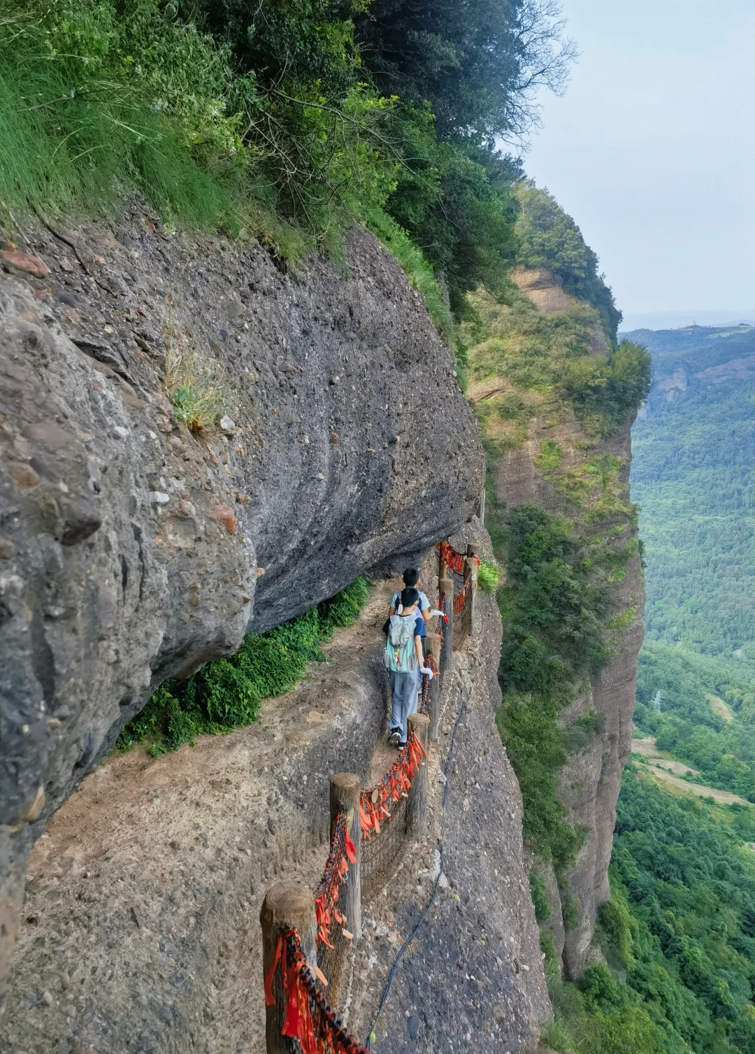 一次讲清楚！怎么免票玩剑门关+翠云廊！