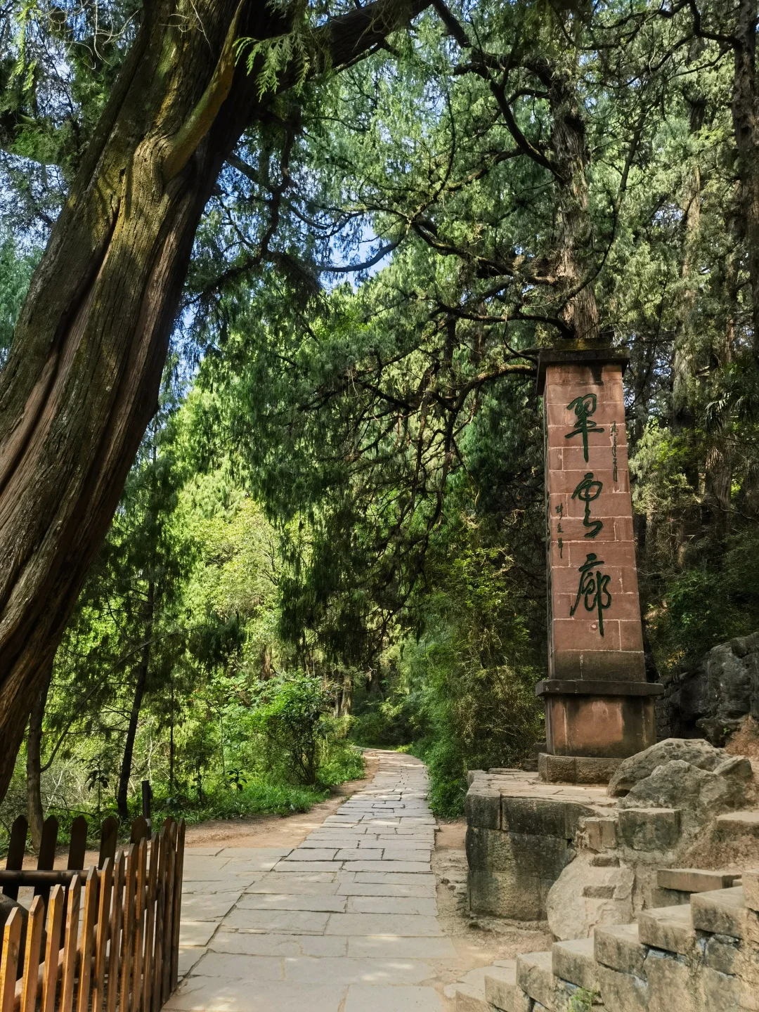 一次讲清楚！怎么免票玩剑门关+翠云廊！