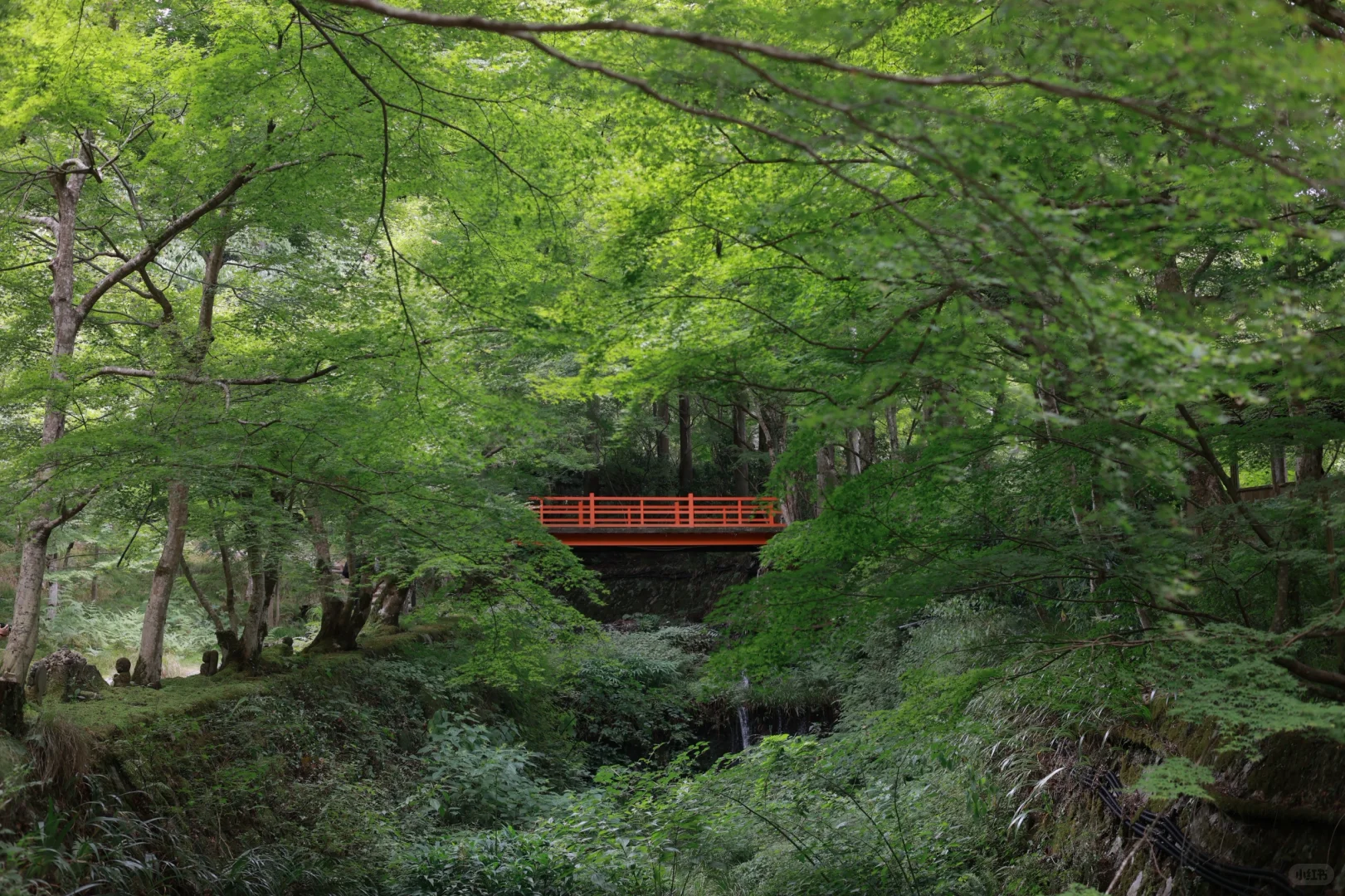 日本关西7天旅游攻略