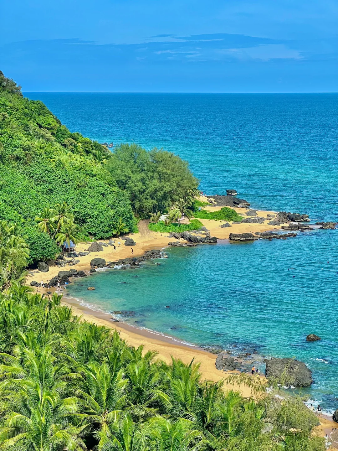 美哭了😭为了这18张live图专门去了一趟万宁