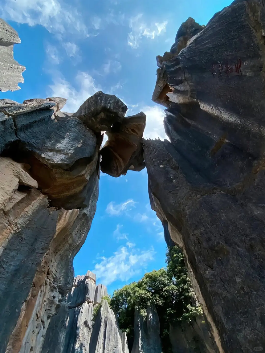 云南纯玩小团🌟吃住全含✅让旅行更省心❗