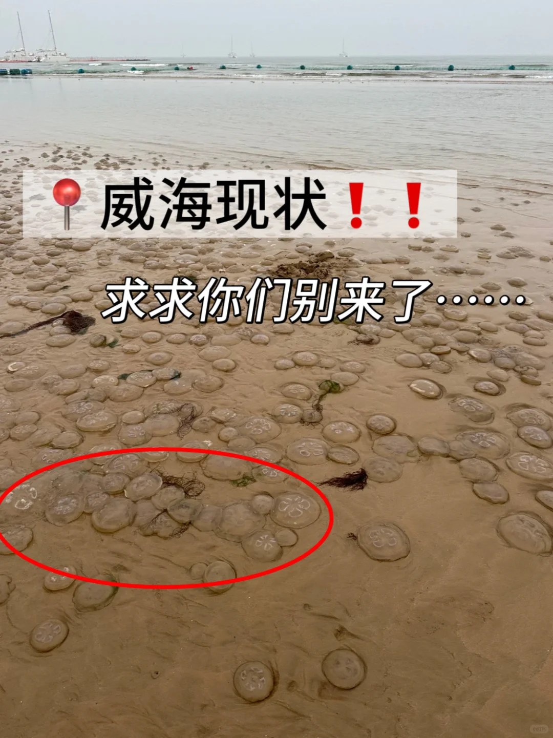 这就是威海现状！！