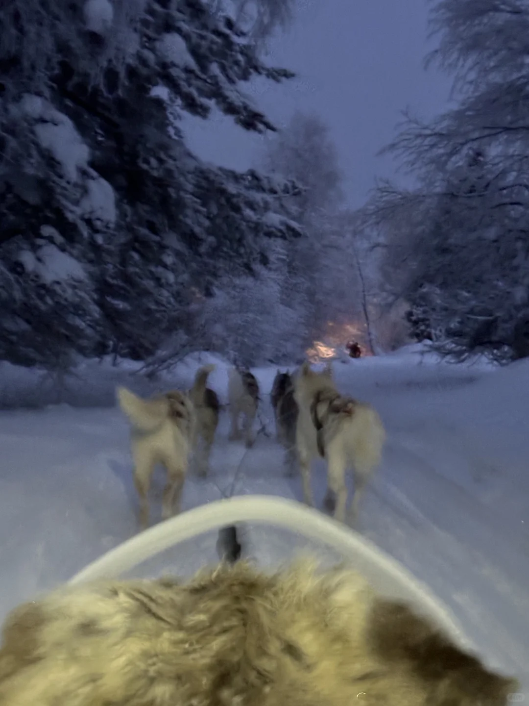 第一次出国去哪个国家好？（04女大推荐版）