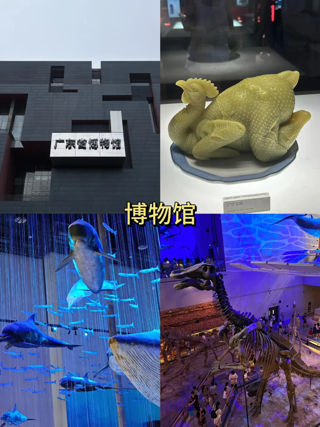 广州好玩的地方推荐｜必打卡的9个网红景点‼️