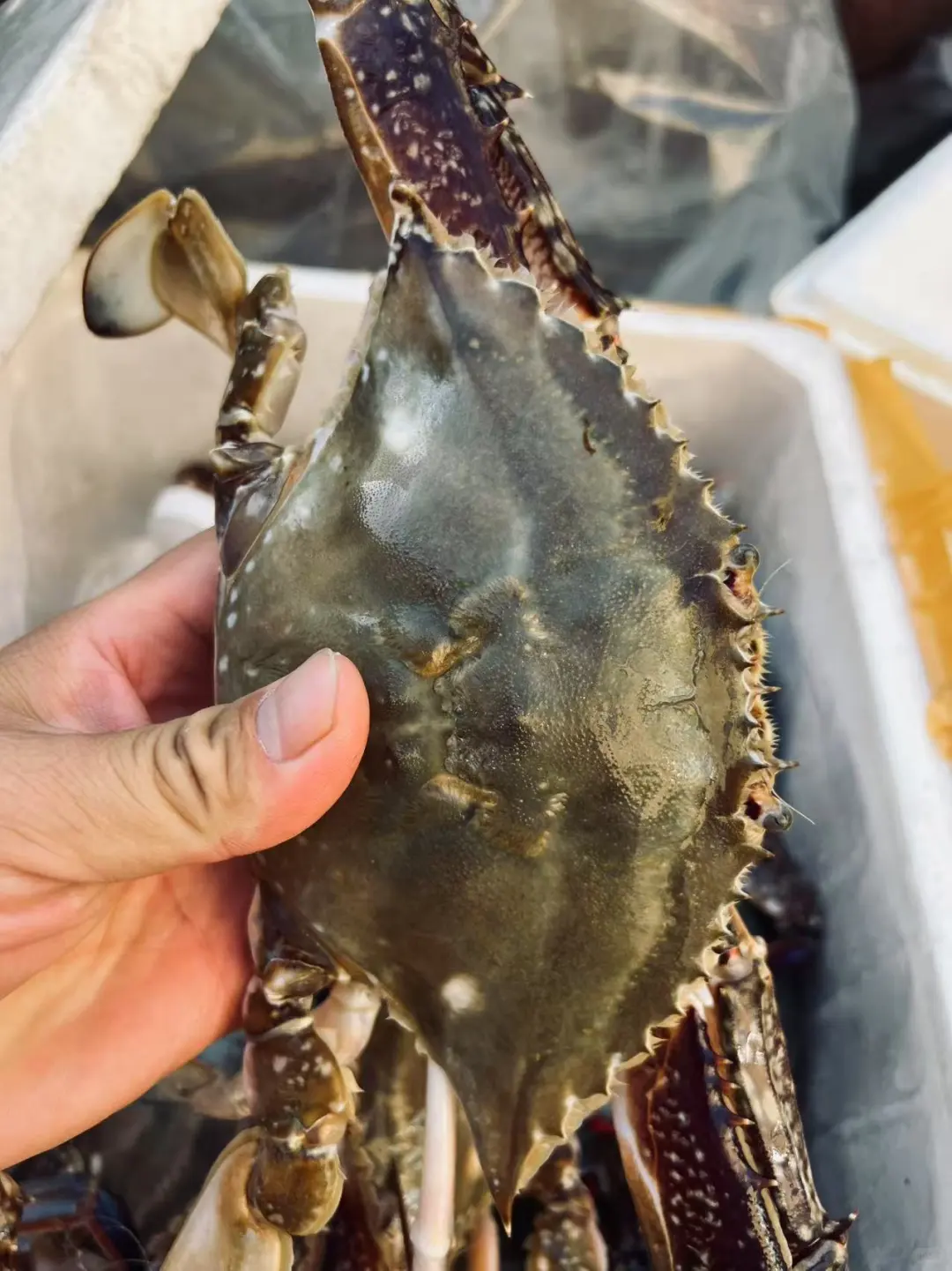 日照宝藏玩法：森林公园与醉江湖美食之旅