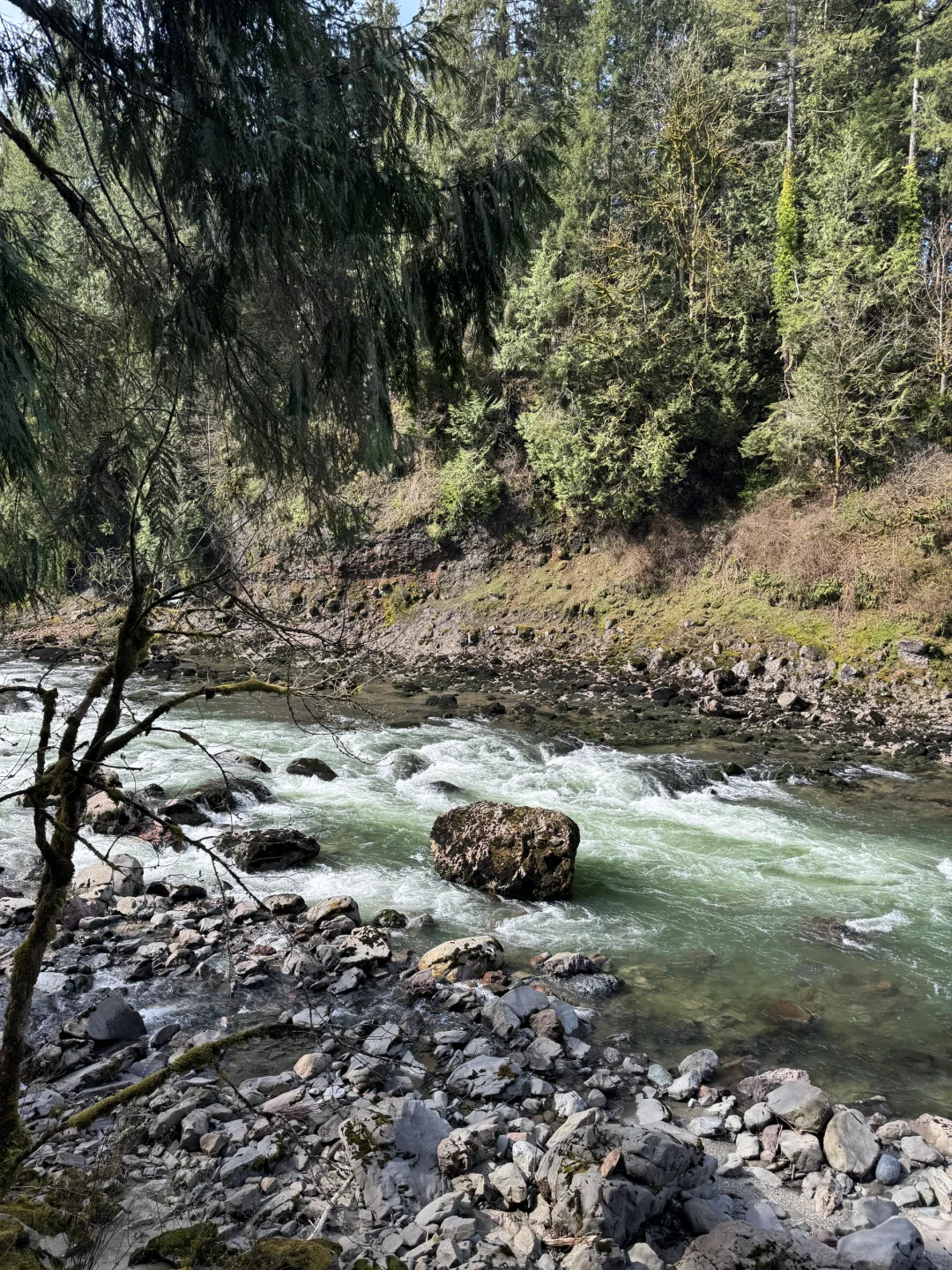 西雅图Snoqualmie瀑布