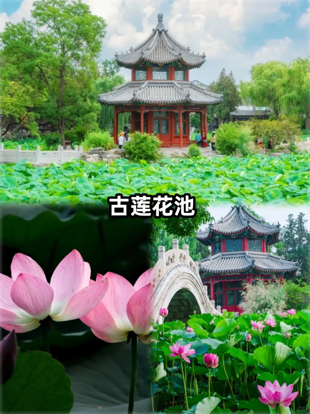 📍保定必去9大景点‼ 旅游前必看❗