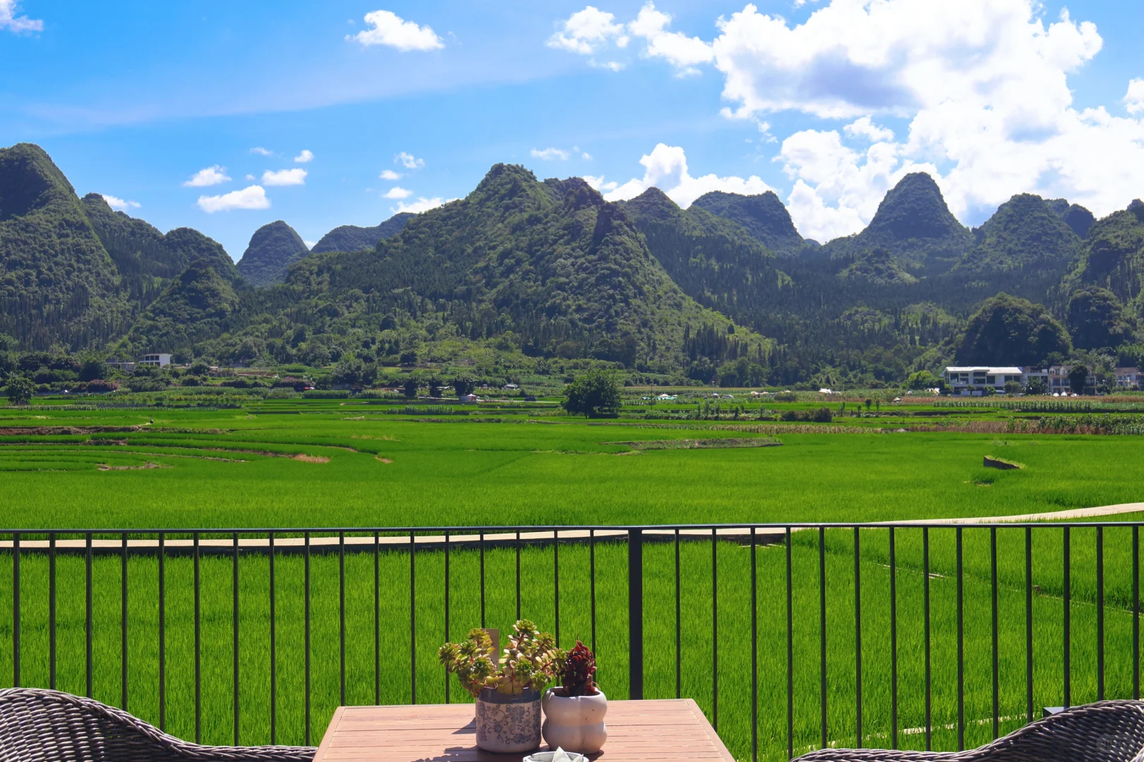 贵州玩了半年！真正值得去的景点有这些