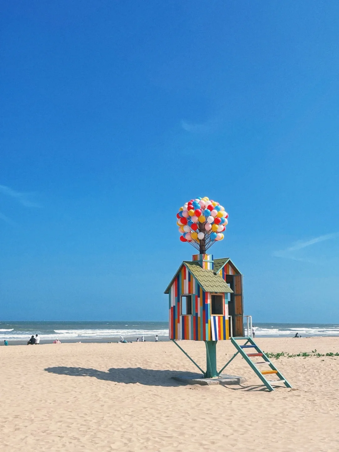 日照宝藏玩法：森林公园与醉江湖美食之旅