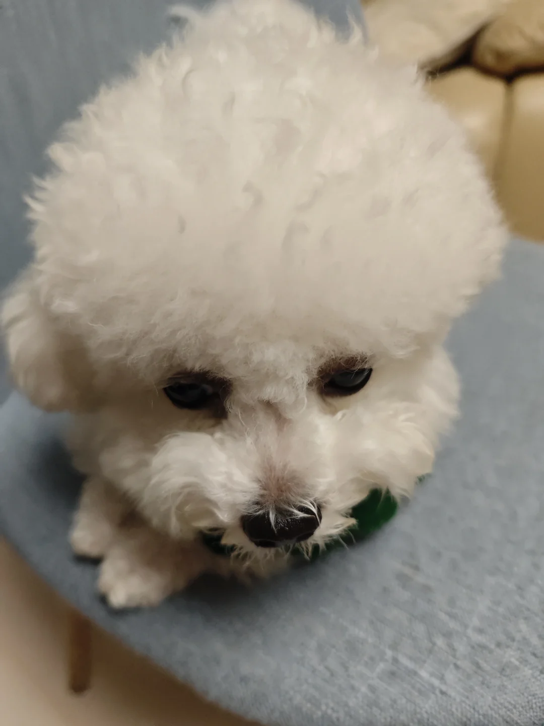 出国旅游想我的小宝贝了