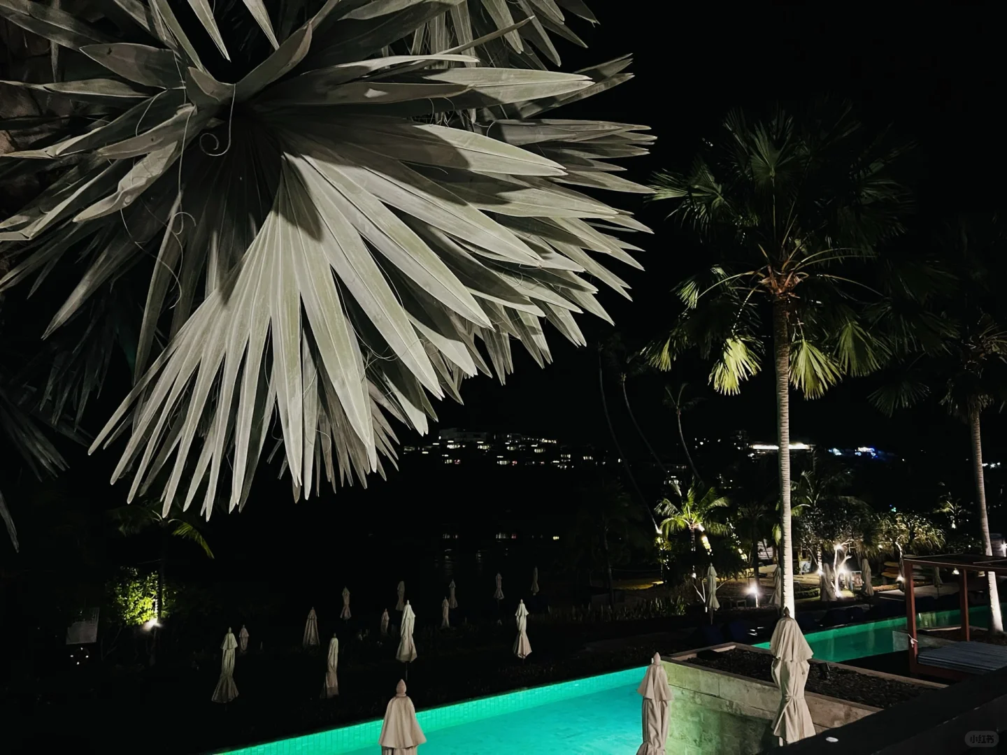 普吉｜三年第一次出国，一个人去海边躺平