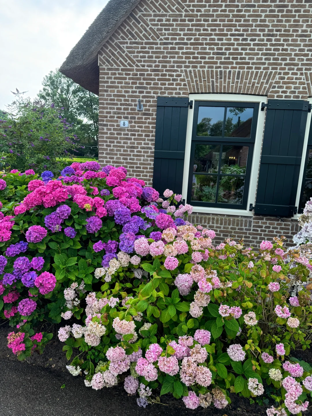 人怎么可以幸福成这样