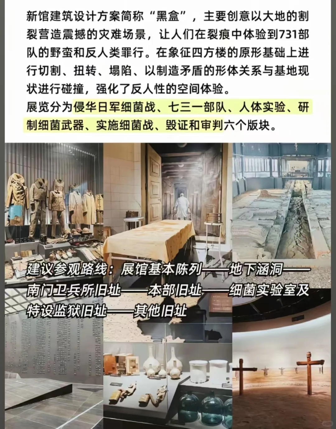 巧用731预约攻略，超高中签率！