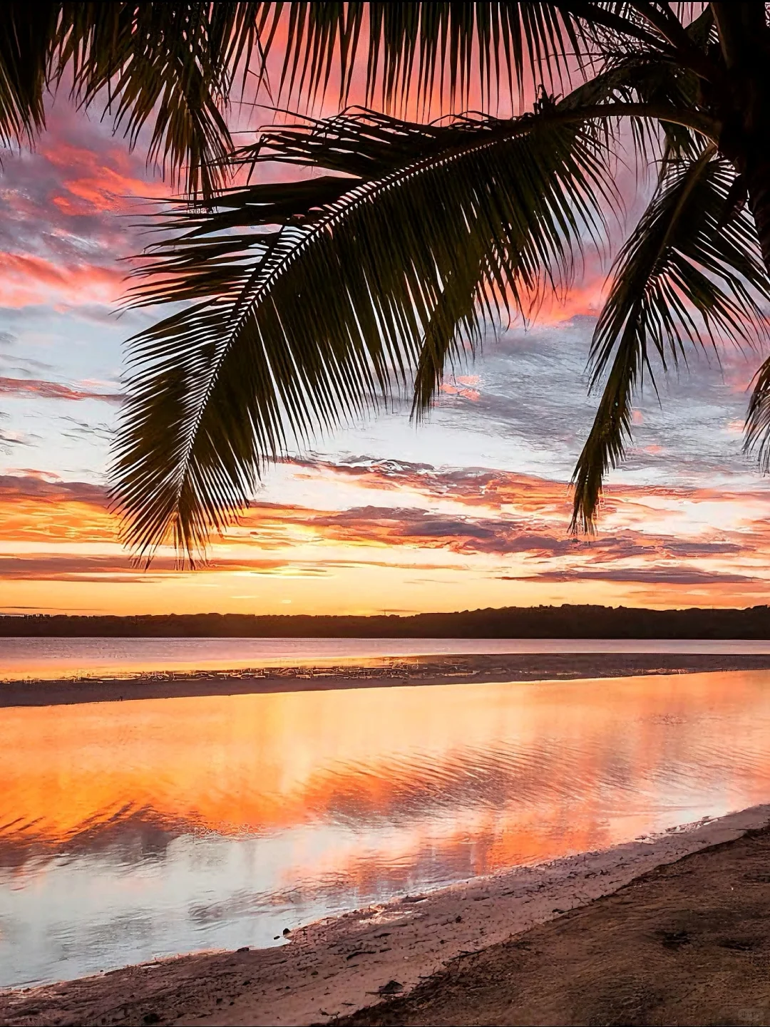 99%游客忽略的库克群岛🌊不愧新西兰后花园