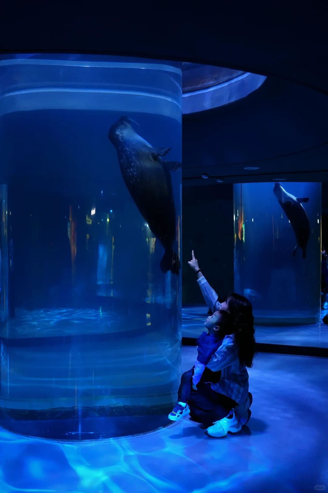 适合带娃出国旅游地区—济州岛