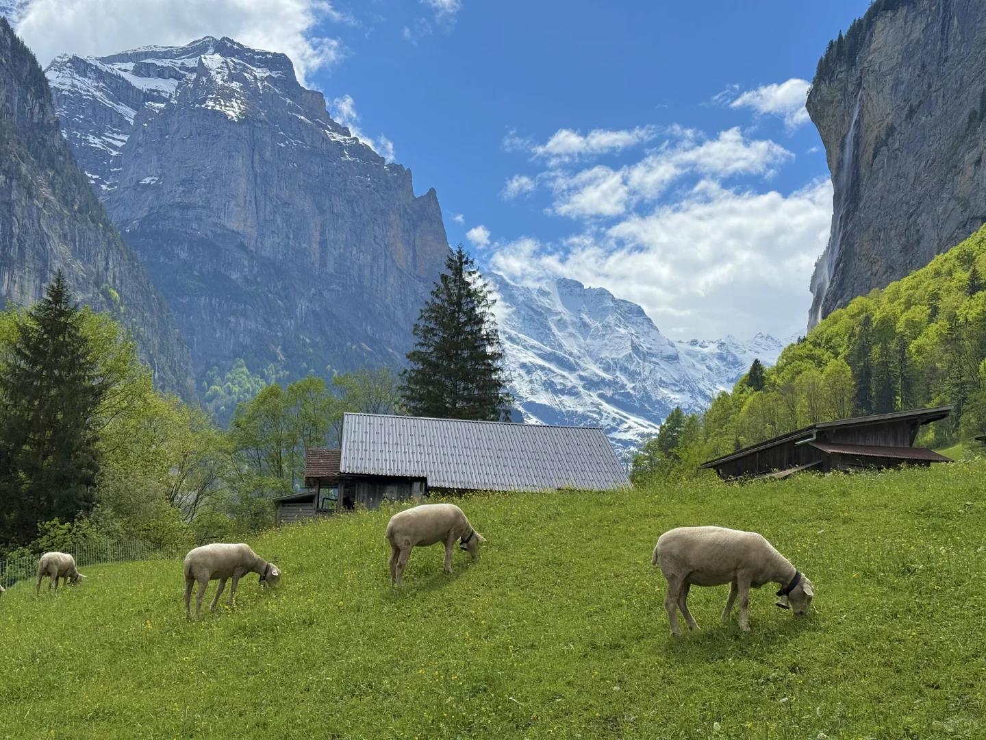 终于有一天去了瑞士🇨🇭体验人间天堂