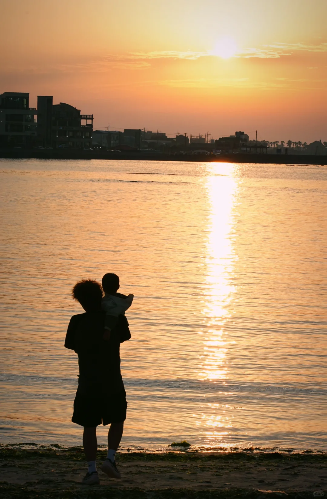 适合带娃出国旅游地区—济州岛