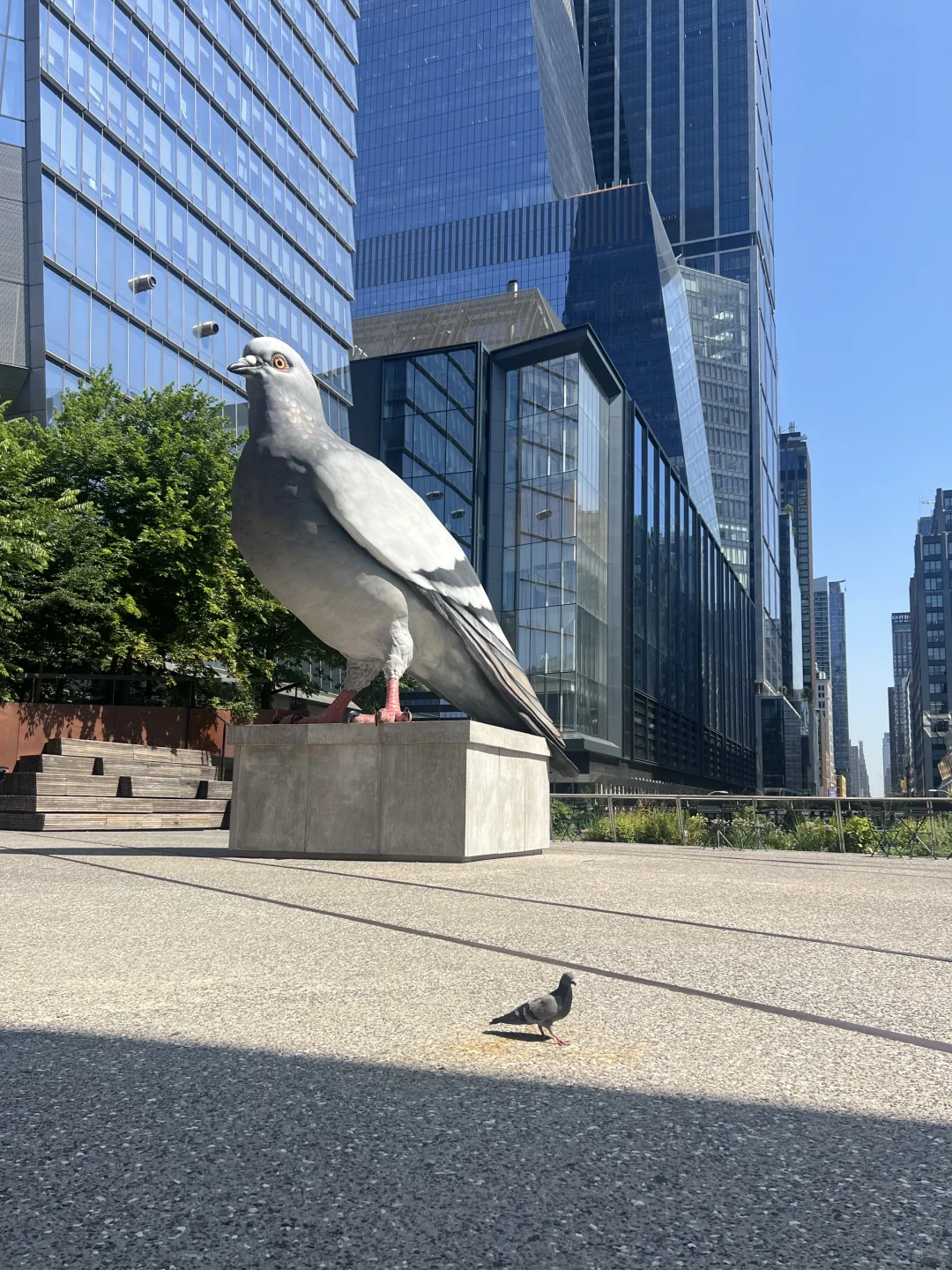 纽约的前三天～