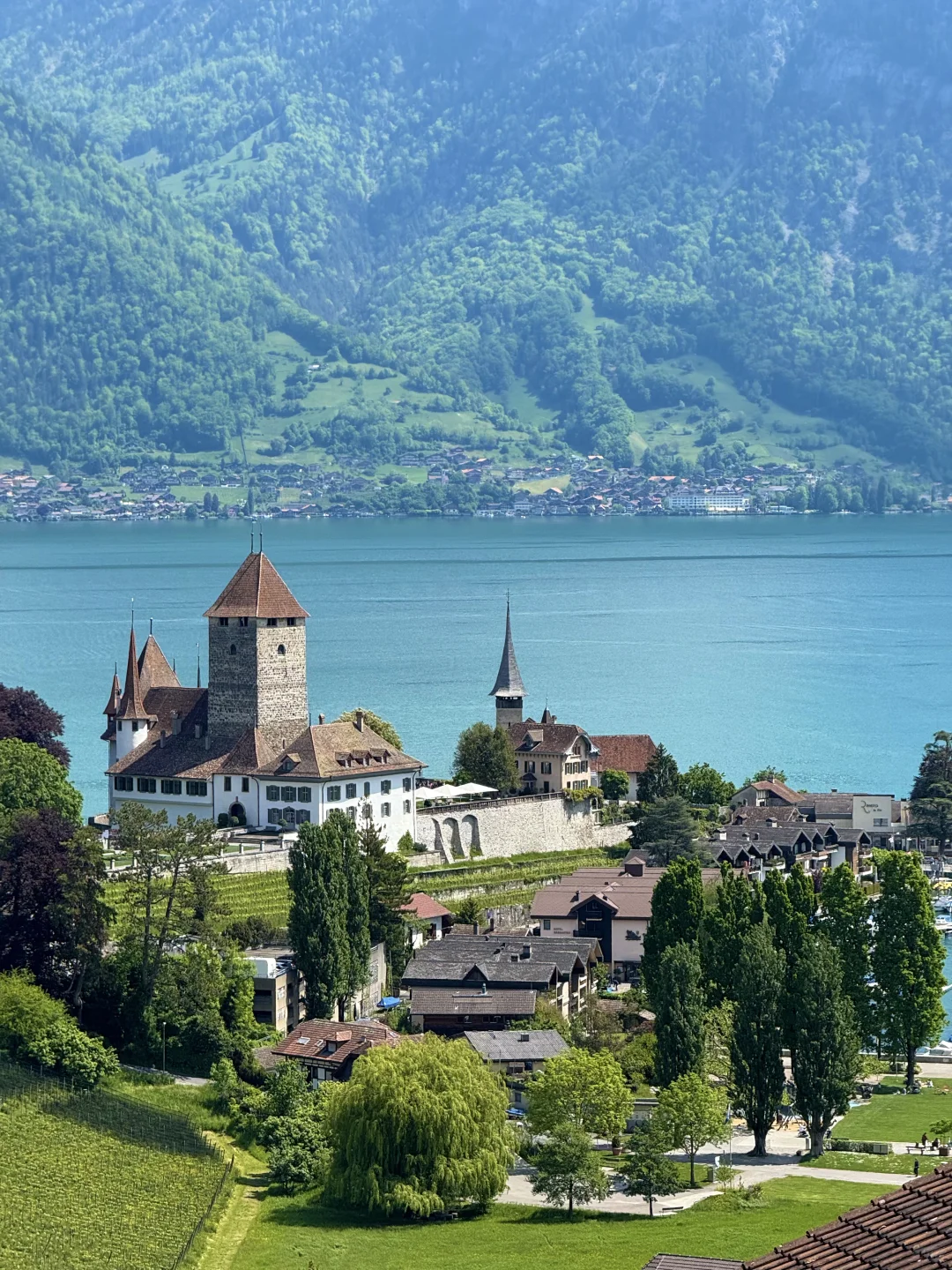 终于有一天去了瑞士🇨🇭体验人间天堂