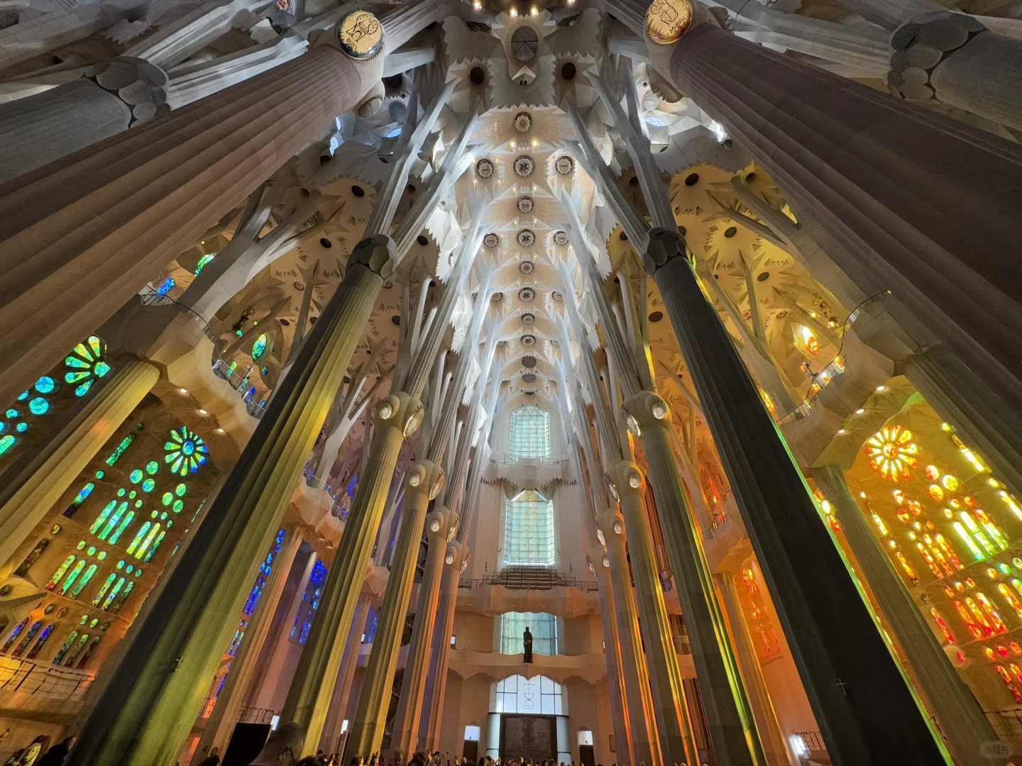 🌟一生必看！巴塞罗那圣家堂保姆级攻略✨