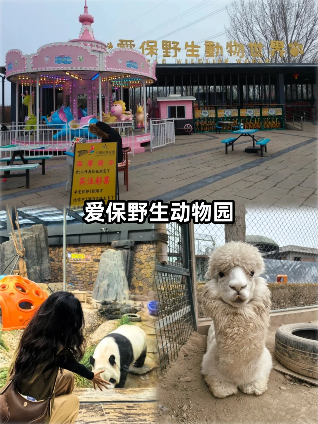 📍保定必去9大景点‼ 旅游前必看❗