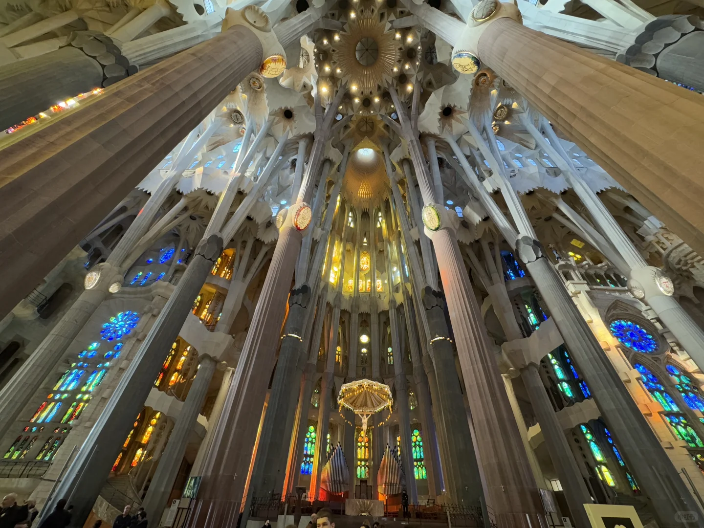 🌟一生必看！巴塞罗那圣家堂保姆级攻略✨