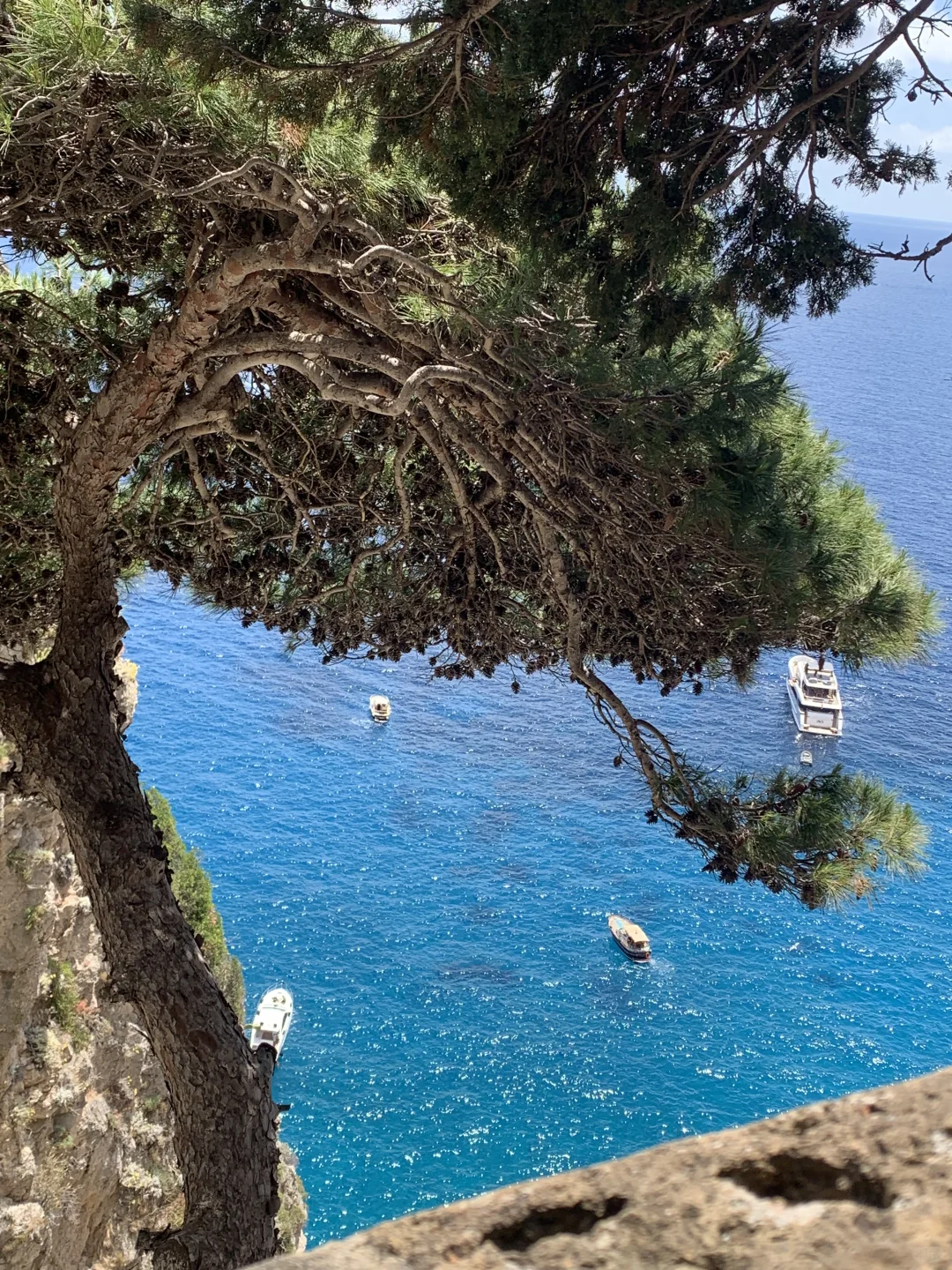 live图的意义！朋友说像岸边盛开的格桑花！！