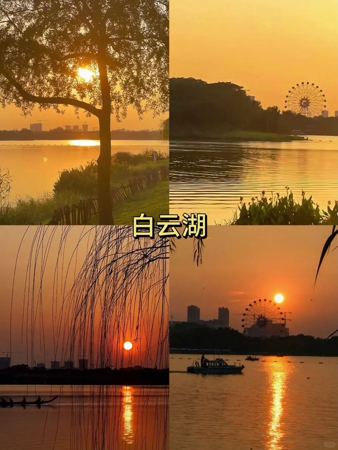 广州好玩的地方推荐｜必打卡的9个网红景点‼️