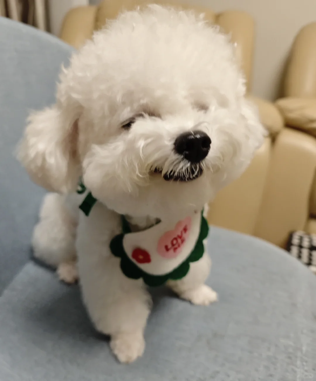 出国旅游想我的小宝贝了