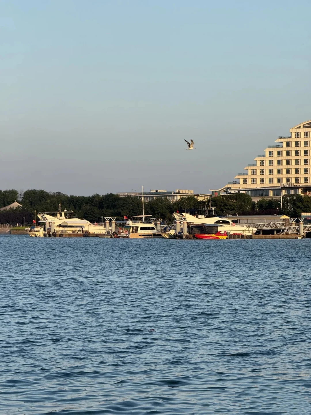 日照宝藏玩法：森林公园与醉江湖美食之旅