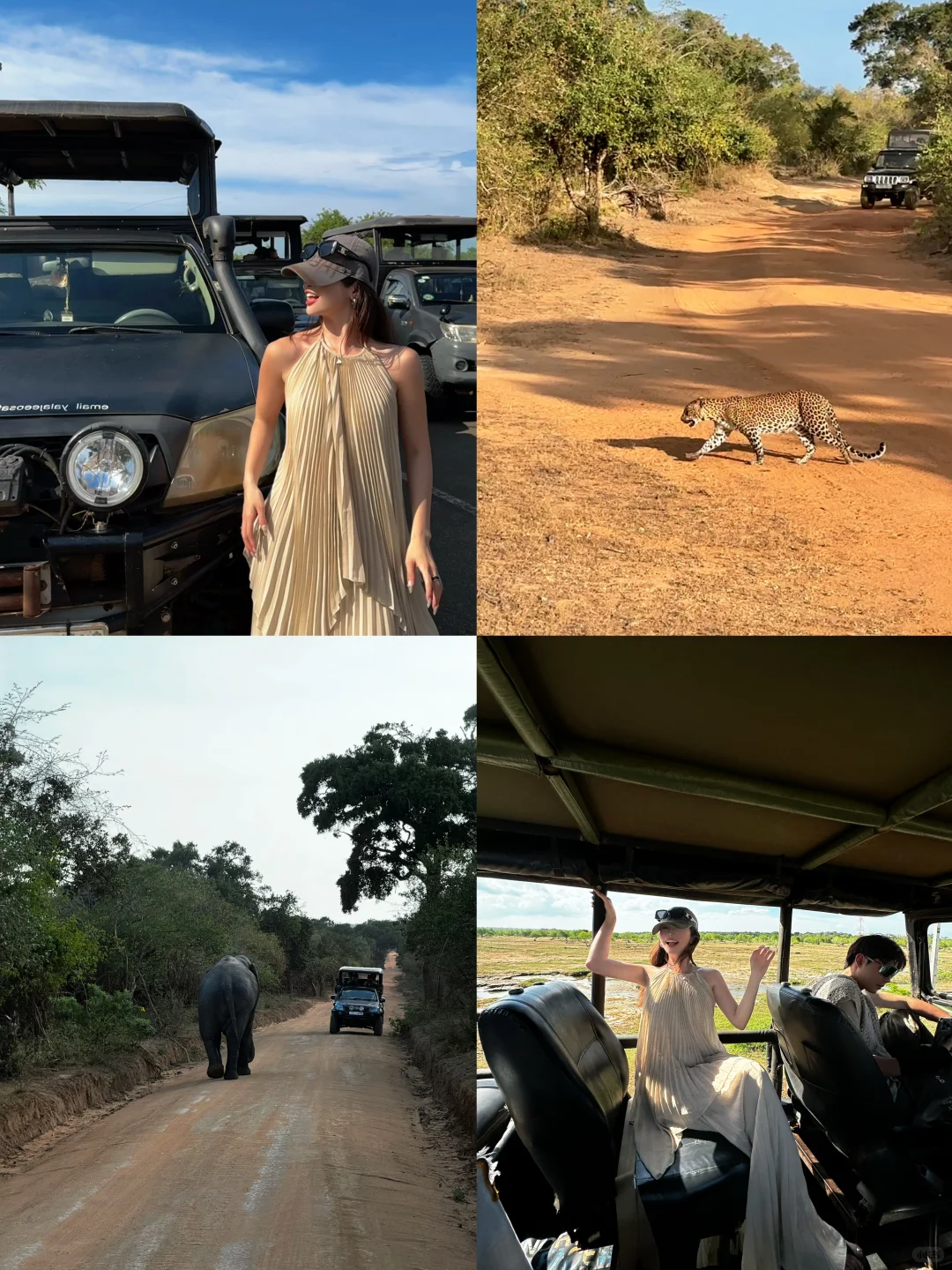 斯里兰卡七天五晚zui 全攻略｜人均6000💰