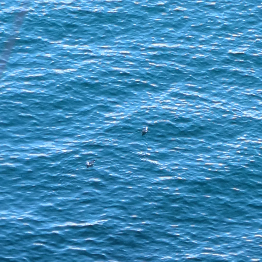 8月旅游第一站——大连！！🌞